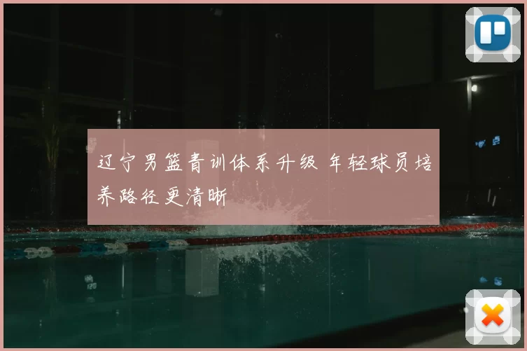 辽宁男篮青训体系升级 年轻球员培养路径更清晰
