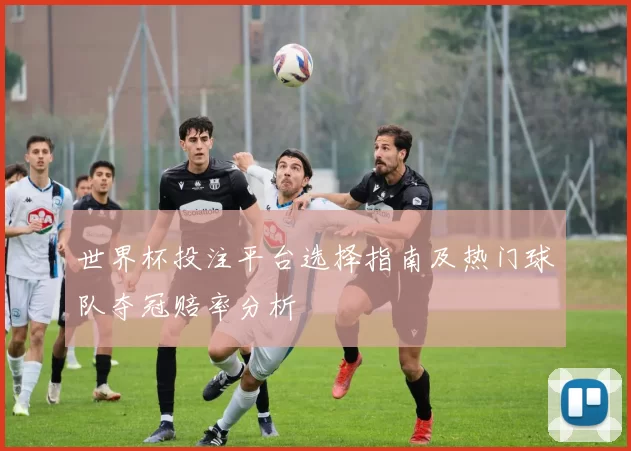 世界杯投注平台选择指南及热门球队夺冠赔率分析