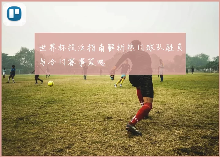 世界杯投注指南解析热门球队胜负与冷门赛事策略