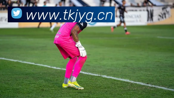 hth华体网站登录入口 - 华体(中国)发展历程